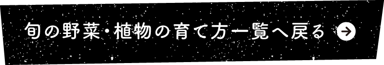 旬の野菜・植物の育て方一覧へ戻る